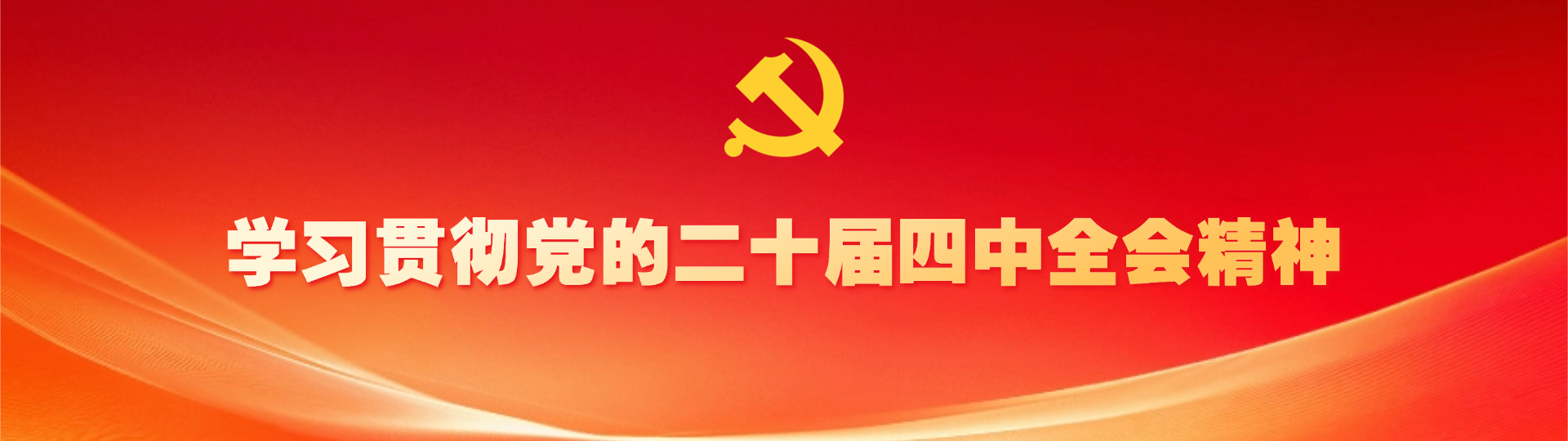学习贯彻党的二十届四中全金沙娱场城app